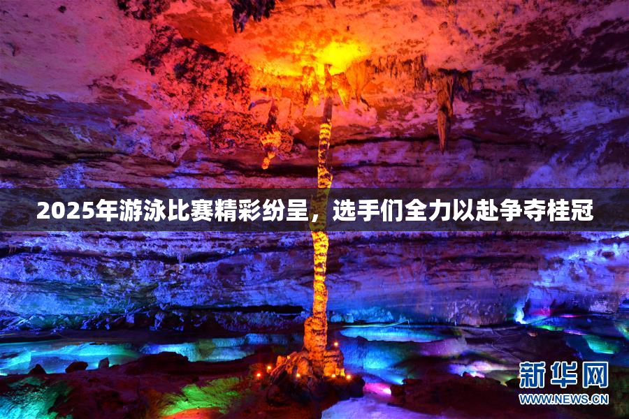 2025年游泳比赛精彩纷呈，选手们全力以赴争夺桂冠