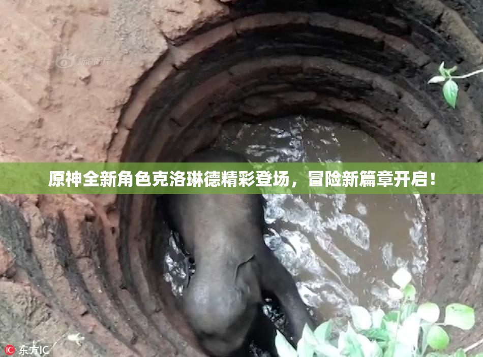 原神全新角色克洛琳德精彩登场，冒险新篇章开启！
