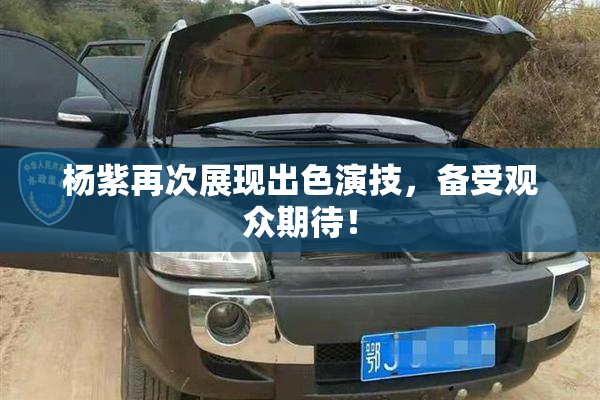 杨紫再次展现出色演技，备受观众期待！