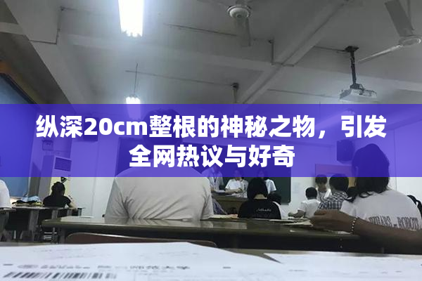 纵深20cm整根的神秘之物，引发全网热议与好奇