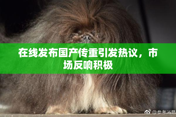在线发布国产传重引发热议，市场反响积极
