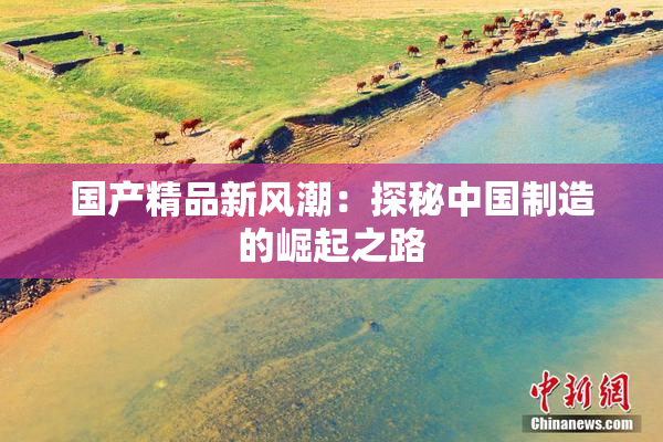 国产精品新风潮：探秘中国制造的崛起之路