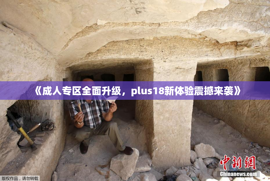 《成人专区全面升级，plus18新体验震撼来袭》