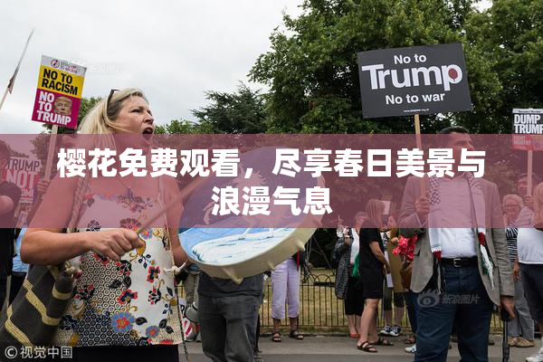 樱花免费观看，尽享春日美景与浪漫气息