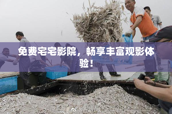 免费宅宅影院，畅享丰富观影体验！