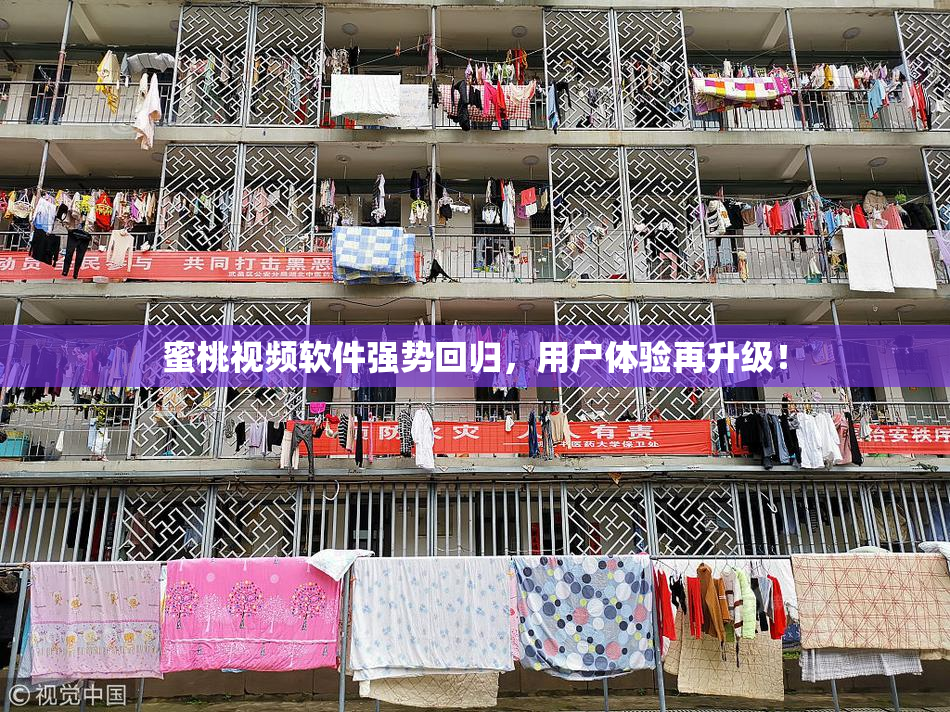 蜜桃视频软件强势回归，用户体验再升级！
