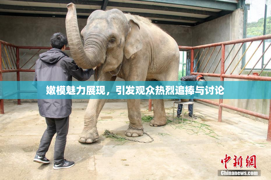 嫩模魅力展现，引发观众热烈追捧与讨论