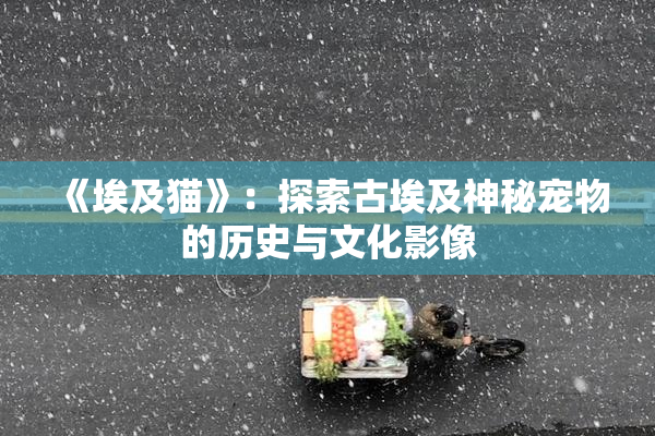《埃及猫》：探索古埃及神秘宠物的历史与文化影像