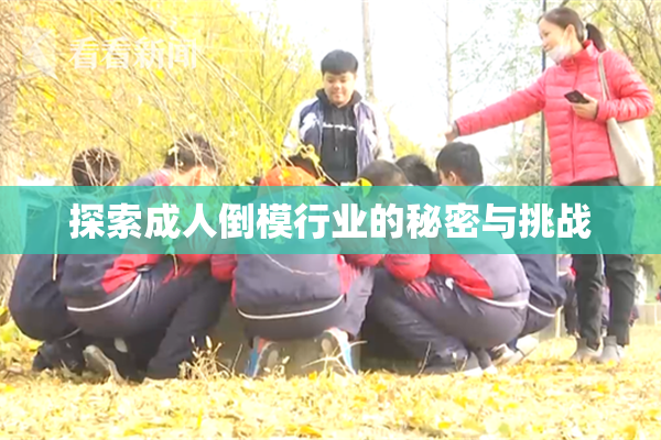 探索成人倒模行业的秘密与挑战