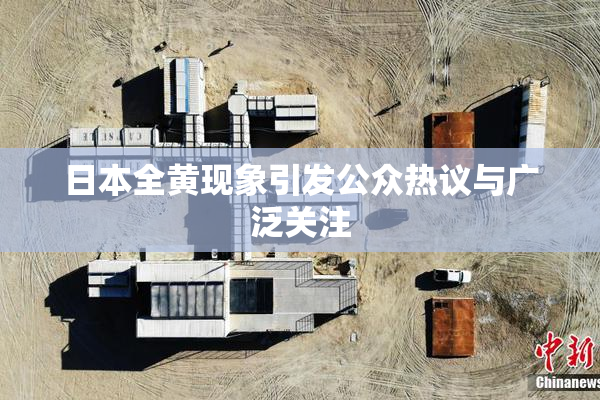 日本全黄现象引发公众热议与广泛关注