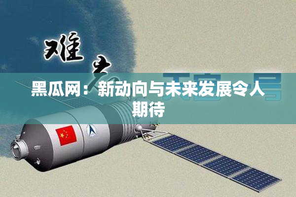 黑瓜网：新动向与未来发展令人期待