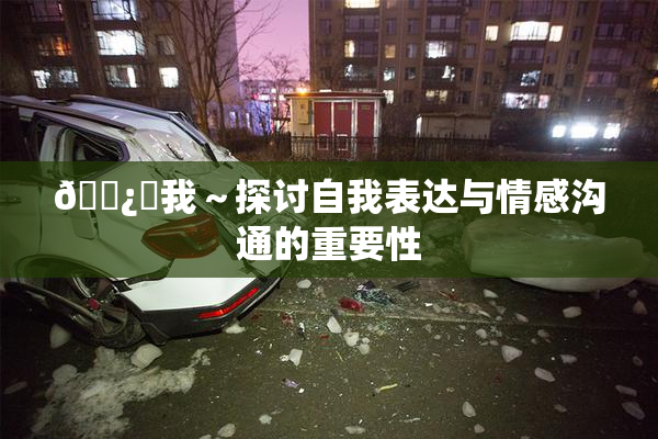 🌿‌我～探讨自我表达与情感沟通的重要性