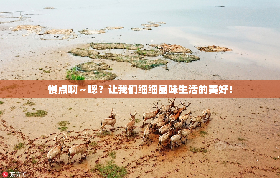 慢点啊～嗯？让我们细细品味生活的美好！