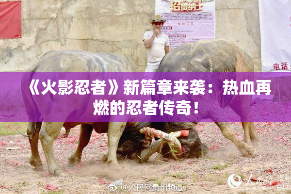 《火影忍者》新篇章来袭：热血再燃的忍者传奇！
