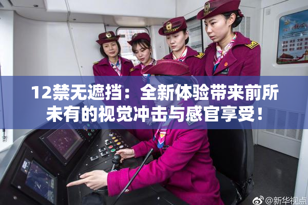 12禁无遮挡：全新体验带来前所未有的视觉冲击与感官享受！
