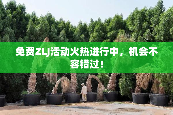 免费ZLJ活动火热进行中，机会不容错过！