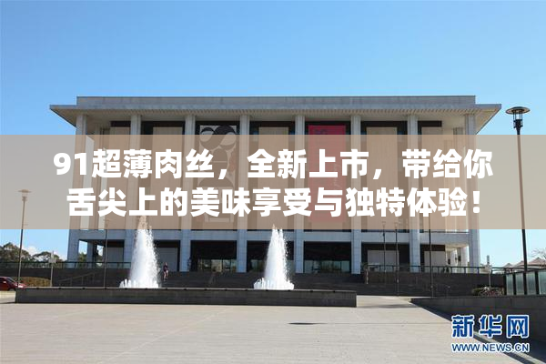 91超薄肉丝，全新上市，带给你舌尖上的美味享受与独特体验！