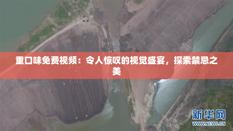 重口味免费视频：令人惊叹的视觉盛宴，探索禁忌之美