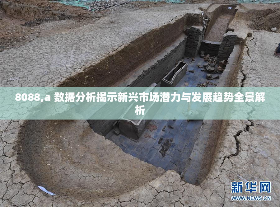 8088,a 数据分析揭示新兴市场潜力与发展趋势全景解析