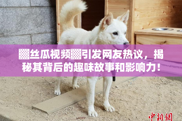 ▓丝瓜视频▓引发网友热议，揭秘其背后的趣味故事和影响力！