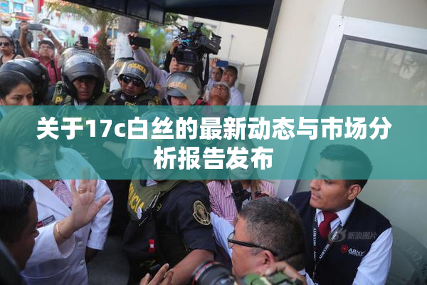 关于17c白丝的最新动态与市场分析报告发布