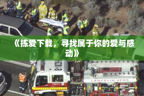 《拣爱下载，寻找属于你的爱与感动》