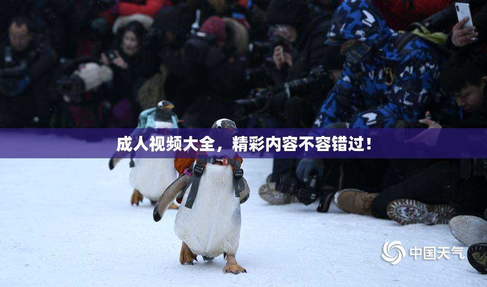 成人视频大全，精彩内容不容错过！