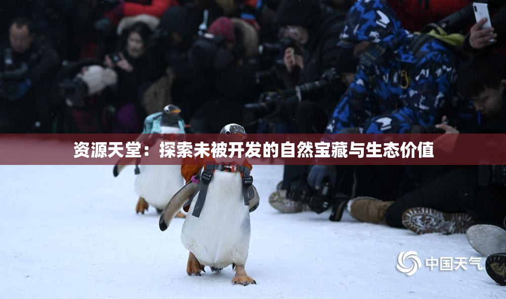 资源天堂：探索未被开发的自然宝藏与生态价值