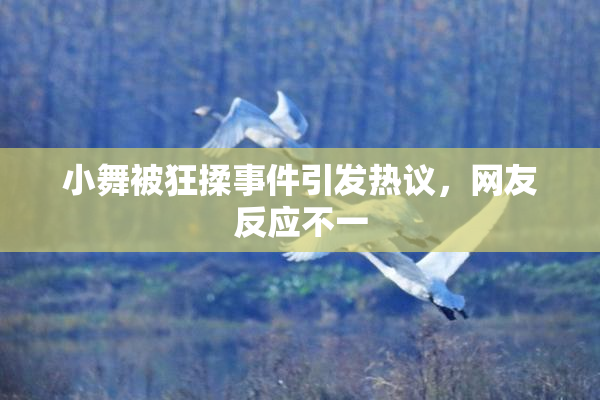 小舞被狂揉事件引发热议，网友反应不一