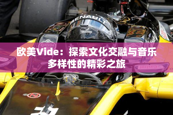 欧美Vide：探索文化交融与音乐多样性的精彩之旅