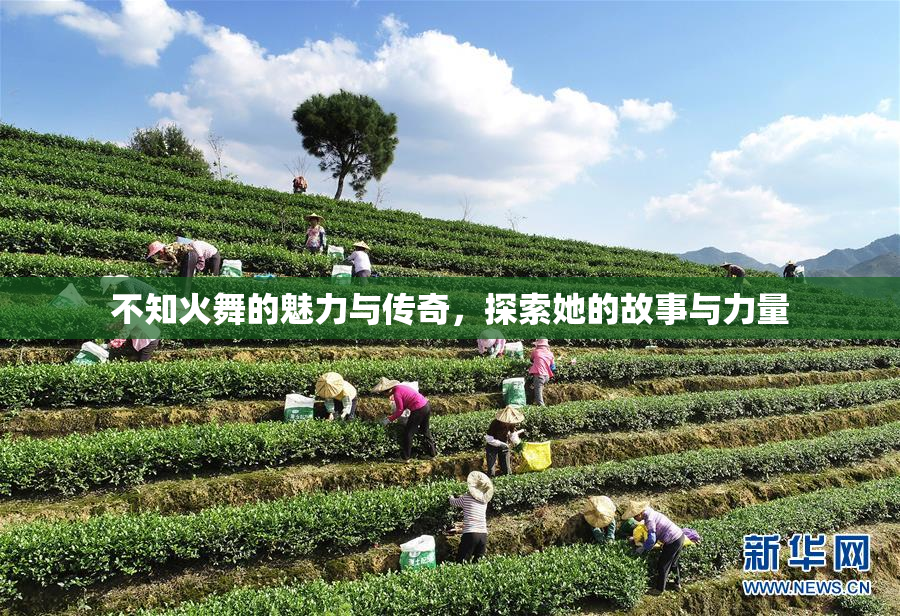 不知火舞的魅力与传奇，探索她的故事与力量