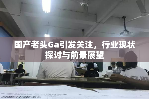 国产老头Ga引发关注，行业现状探讨与前景展望