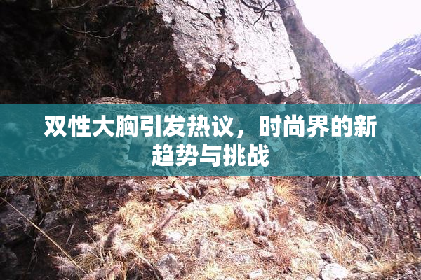 双性大胸引发热议，时尚界的新趋势与挑战