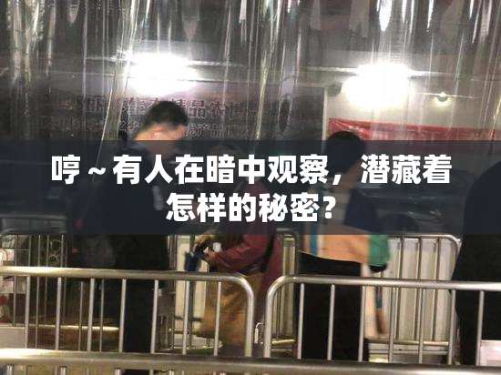 哼～有人在暗中观察，潜藏着怎样的秘密？