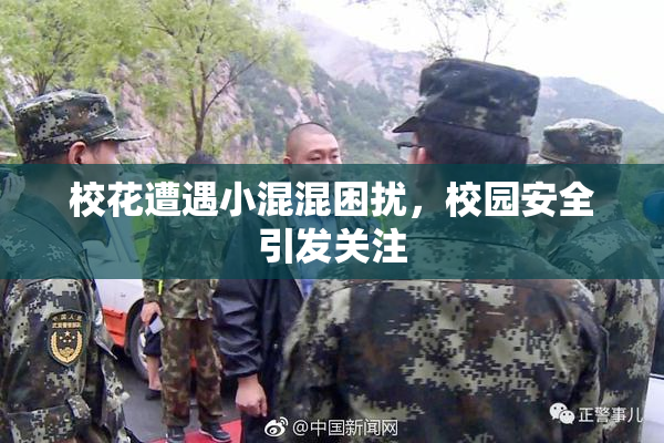 校花遭遇小混混困扰，校园安全引发关注