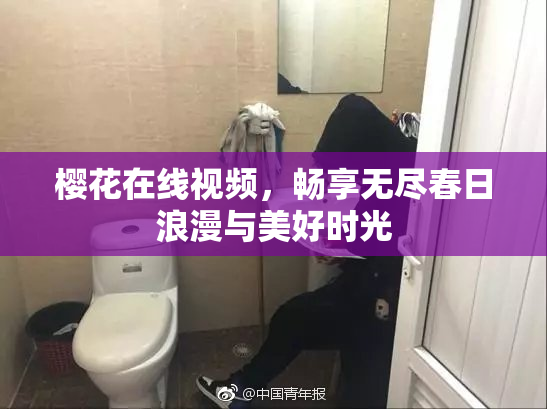樱花在线视频，畅享无尽春日浪漫与美好时光