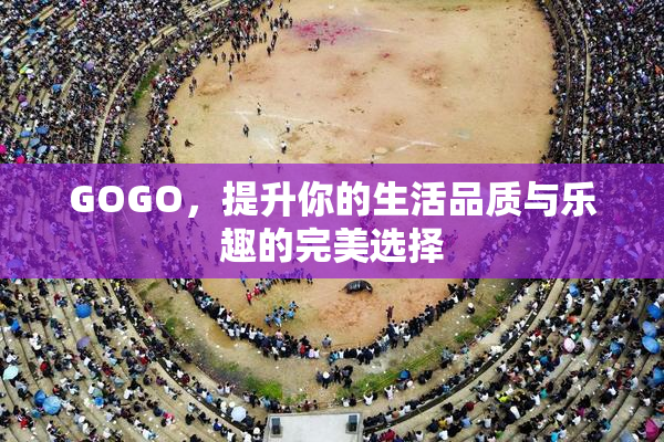 GOGO，提升你的生活品质与乐趣的完美选择