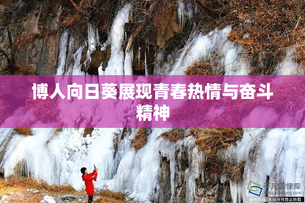 博人向日葵展现青春热情与奋斗精神