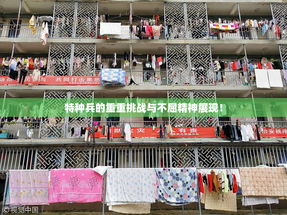 特种兵的重重挑战与不屈精神展现！