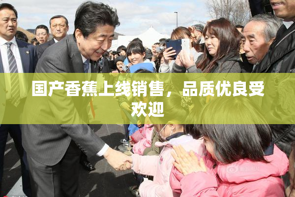 国产香蕉上线销售，品质优良受欢迎