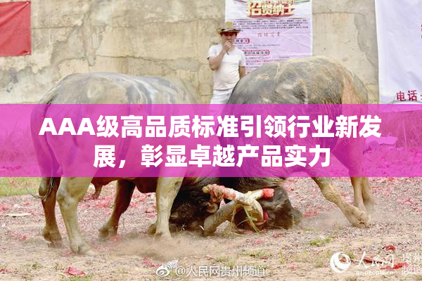 AAA级高品质标准引领行业新发展，彰显卓越产品实力