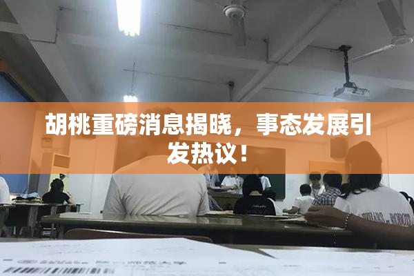 胡桃重磅消息揭晓，事态发展引发热议！