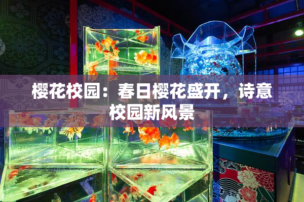 樱花校园：春日樱花盛开，诗意校园新风景