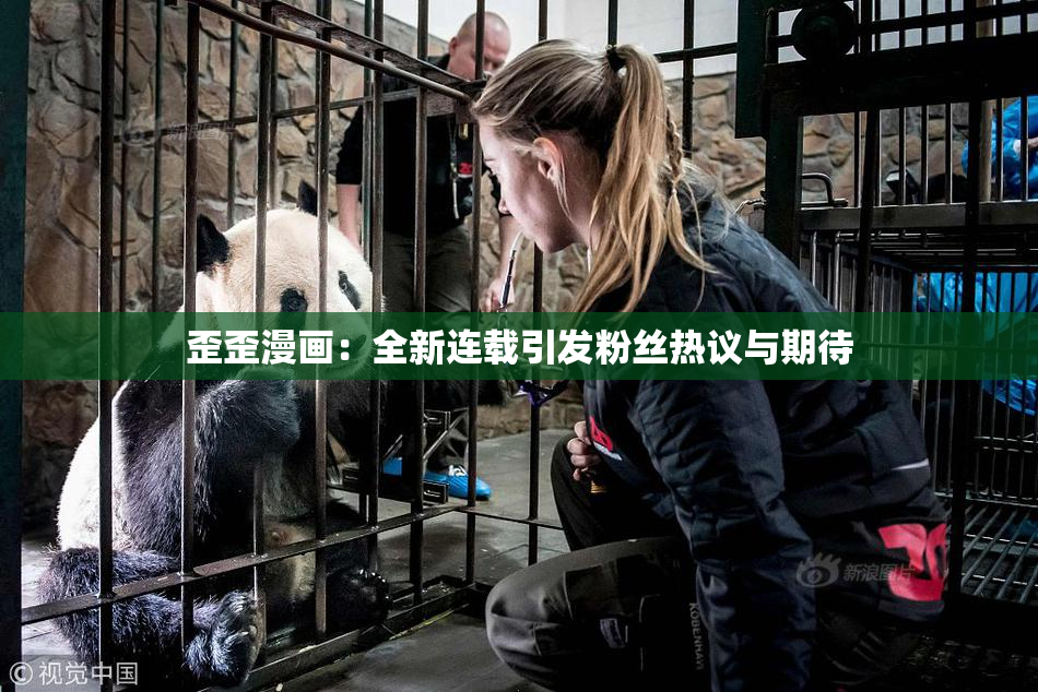 歪歪漫画：全新连载引发粉丝热议与期待