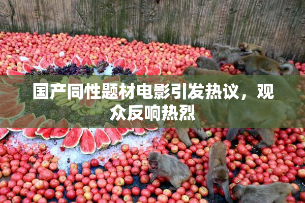 国产同性题材电影引发热议，观众反响热烈