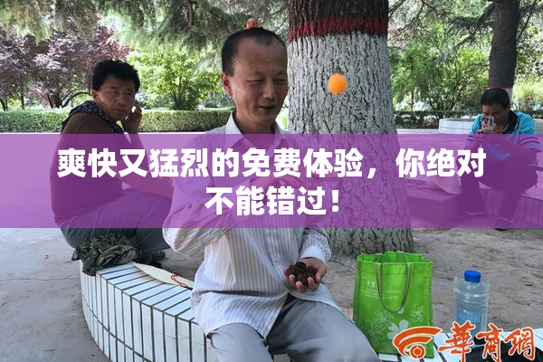爽快又猛烈的免费体验，你绝对不能错过！
