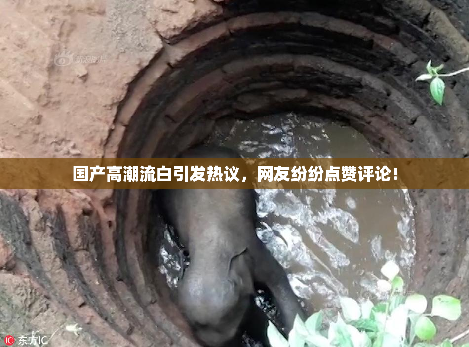 国产高潮流白引发热议，网友纷纷点赞评论！