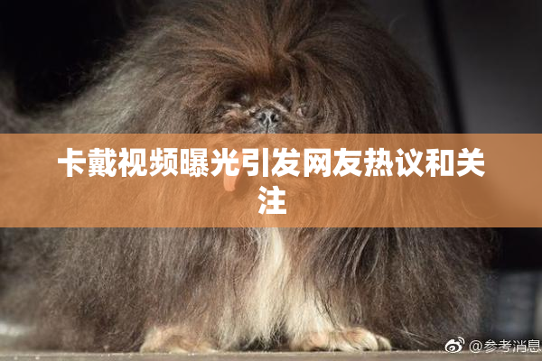 卡戴视频曝光引发网友热议和关注