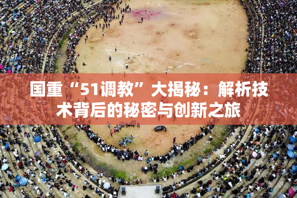 国重“51调教”大揭秘：解析技术背后的秘密与创新之旅