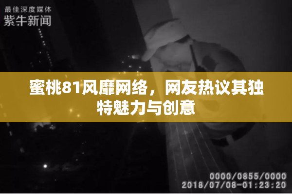 蜜桃81风靡网络，网友热议其独特魅力与创意